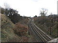 View south from Bridge DOL2/31, Millshaw