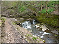 Weir on Cheesden Brook