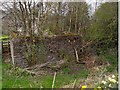 Old mine shaft, Roachburn Colliery