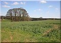 Lincs Wolds looking towards Girsby