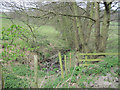 Stream and footpath north of Meifod