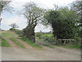 Track to Farm above Colwyn Valley