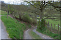 Bridleway heading past Cwm-ystordy farm