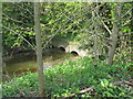 Twin culverts on disused Arun canal carrying excess water under the A272