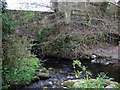 Ancient bridge over the Cleddau