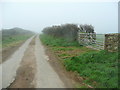 SM8029 : West Pembrokeshire lane by Jonathan Billinger