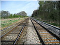 Railway between Clitheroe and Whalley (2)