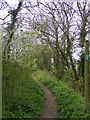 Footpath to Church Farm, Low Street  & New Leas