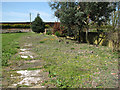 The church of St Andrew in Longham - churchyard