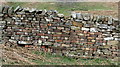 Dry Stone Wall with Bricks east of Woolly Hill Farm