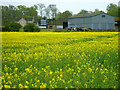 Grange Farm and a field of oilseed rape, Bourton