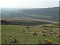 SX4979 : Looking south across the moor by Rob Purvis