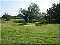 Pond at Pipewell