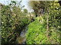 Nameless brook at Thurleigh