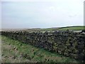 Dry stone wall along the lane