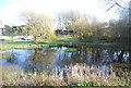 Village pond, Friston