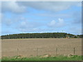 Farmland north of the A98