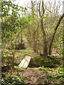 Footbridge near Hoath Wood campsite