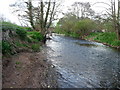 East Devon : The River Otter