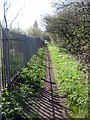 Footpath, Trans Pennine Trail