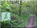 Footpath into Fforest Ganol