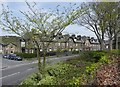 Terrace houses on Leeds Road, Ilkley