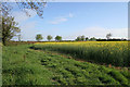 Farmland at Colston Bassett