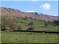 Mallerstang sheep pastures