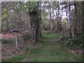 Bridleway near Colhook Farm