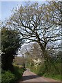 Ridge road near Rooks Castle Farm