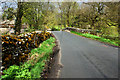 Hartlington Bridge