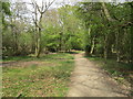 Icknield Way in Ashridge estate