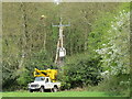 Tree cutting by Coldharbour Farm