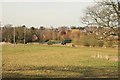 Blandford Forum: Parkland with Bridge over the River Stour