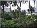 A Tresco cottage garden