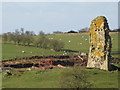 (The remains of) Triermain Castle