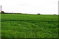 Arable field by Wheatley Road