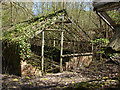 Ruined greenhouse, Botley Park