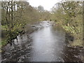 River Irthing at Wallholme