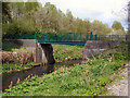 SJ8899 : Iron Bridge, Clayton Vale by David Dixon