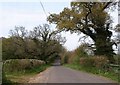 Lane north of Goathurst