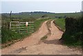 Track above Andersfield