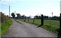 Farm road to Bryn Coch