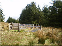 SH9416 : Sheepfold in the forest at Bryn Fawnog by Richard Law