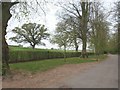 Drive by the Stour, Canford Magna