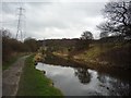 Leeds Liverpool canal near Buck Lane