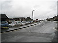 Lamppost in Chester Avenue