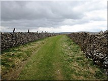 SE0067 : Walled track on Green Hill by Philip Barker