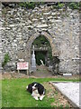 O0663 : Doorway, Ardcath Church, Co. Meath by Kieran Campbell