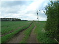 Farm track near Fordham Farm